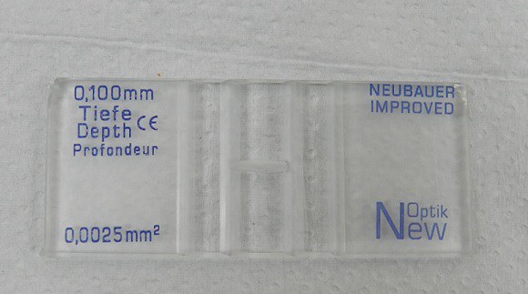 Câmera de Newbauer New-optica (Improved)