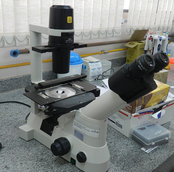 Microscópio Nikon (T5100)