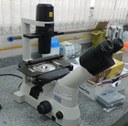 Microscópio Nikon (T5100)