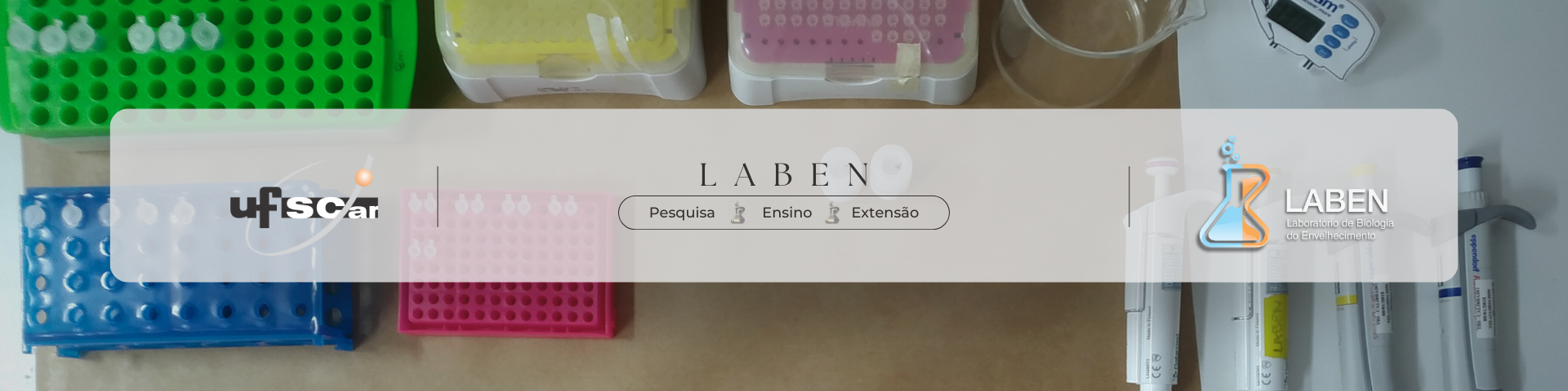 LABEN - Serviços
