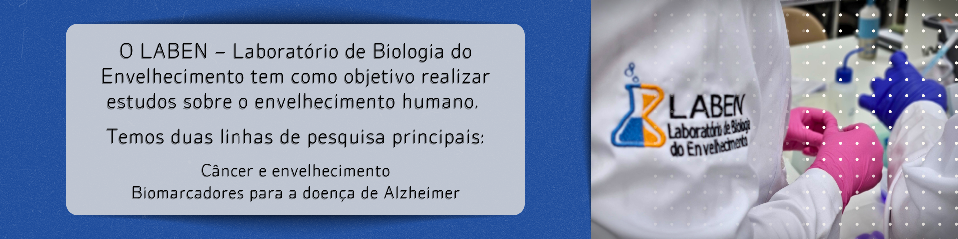 LABEN linhas de pesquisa